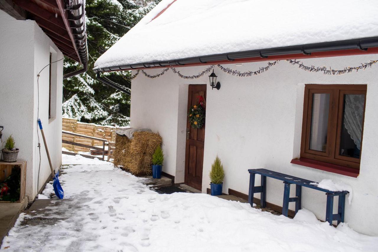 Pod Lasem Farm stay