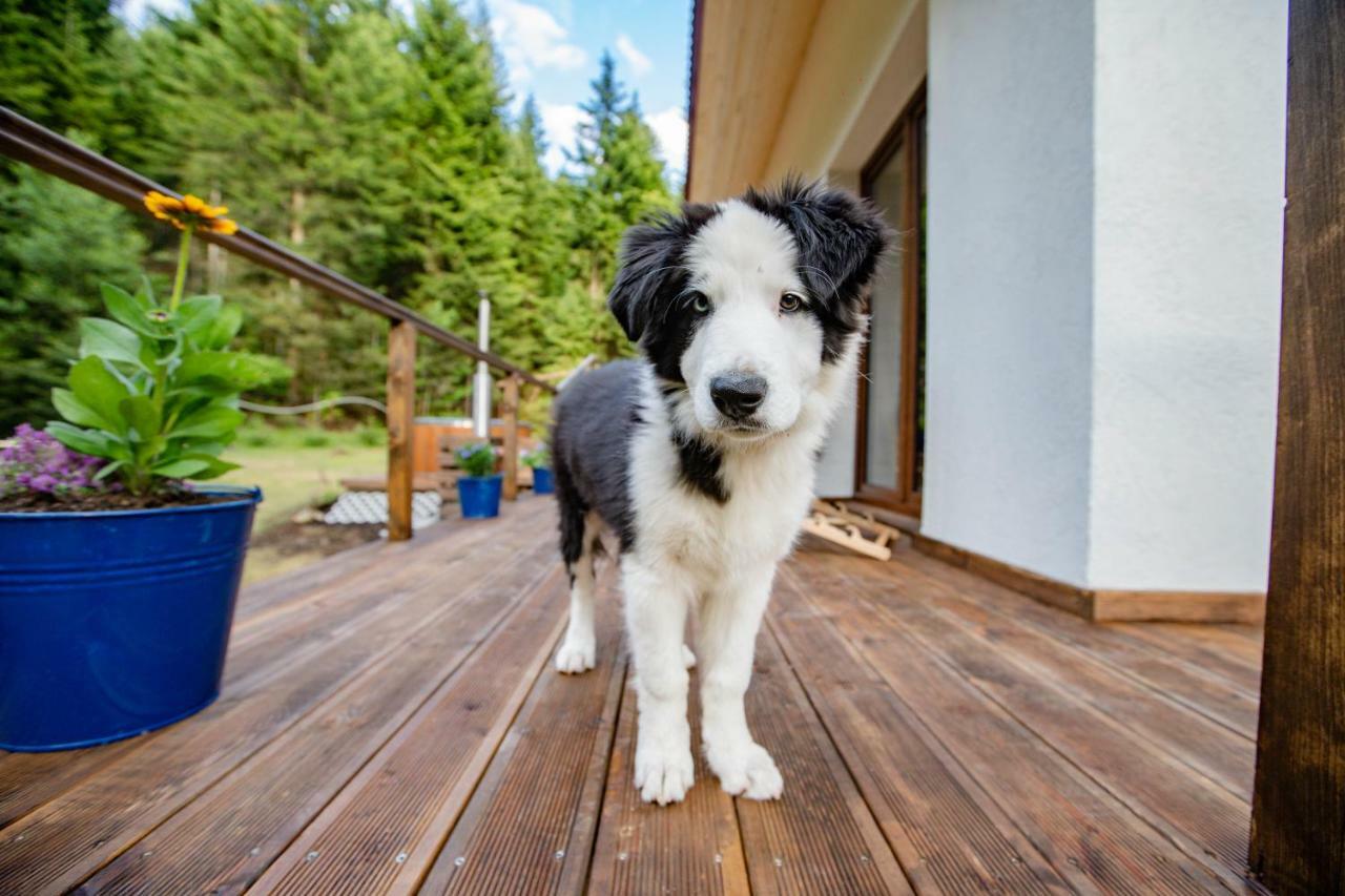 Pod Lasem Farm stay Poreba (Myslenice)